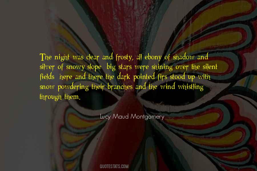 Shadow Of The Wind Quotes #158174