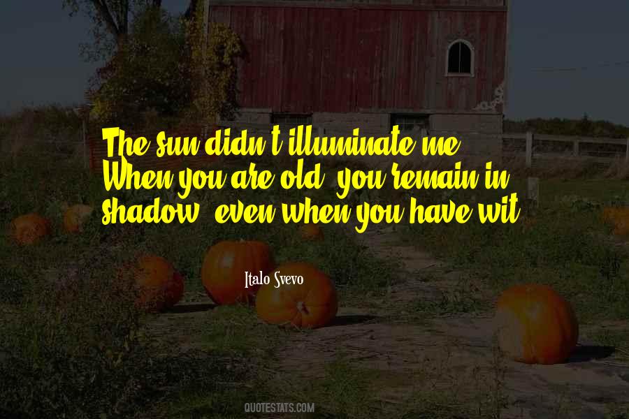 Shadow Sun Quotes #1573008