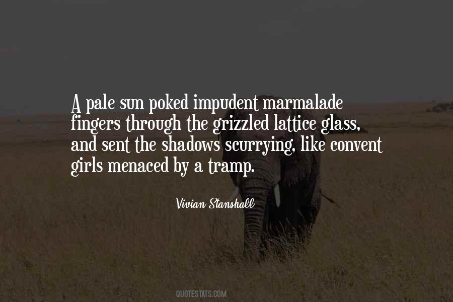 Shadow Sun Quotes #1622751