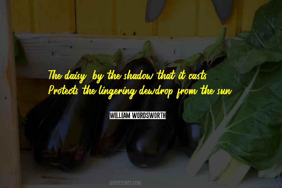 Shadow Sun Quotes #79280