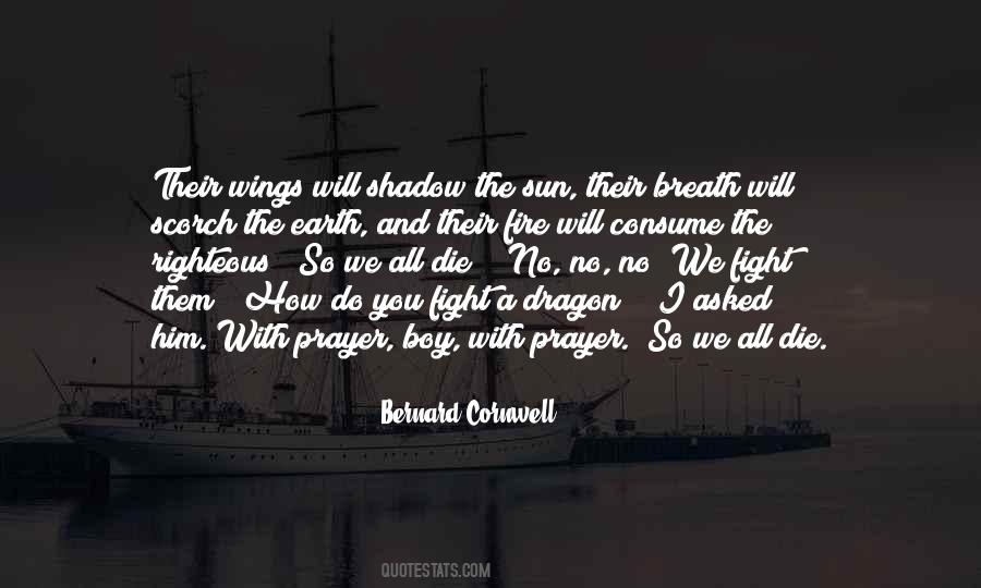 Shadow Sun Quotes #955999