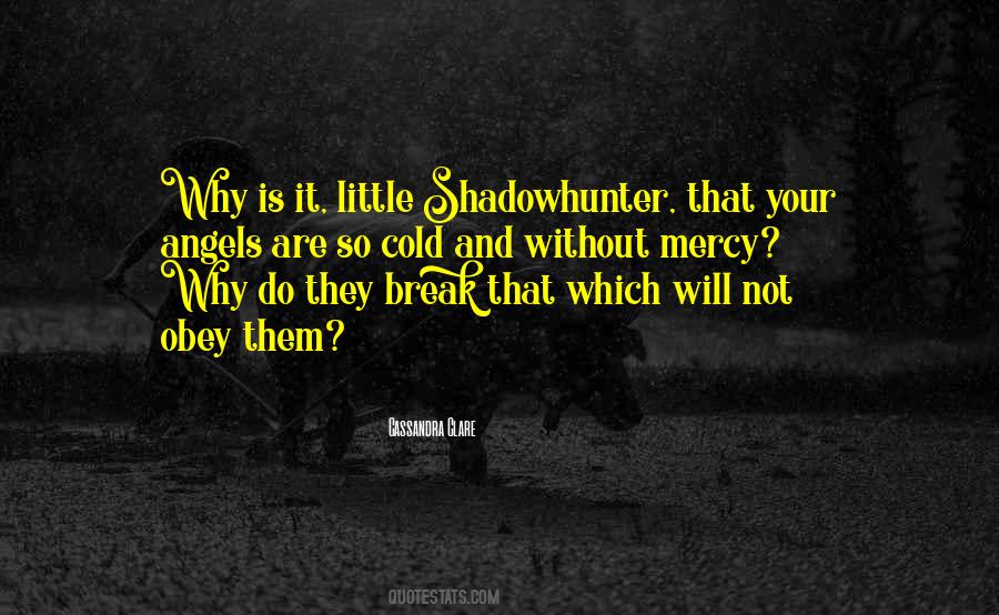 Shadowhunter Quotes #168225