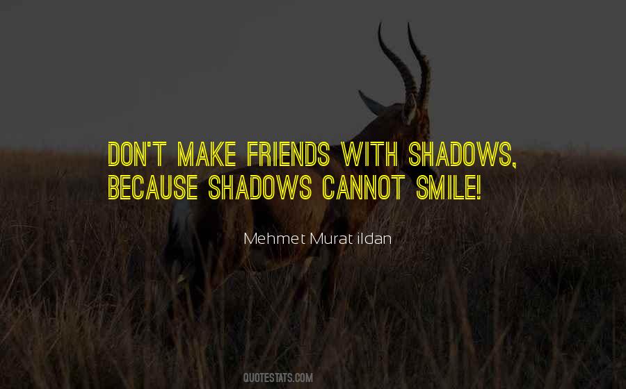 Shadows Of Friends Quotes #894625