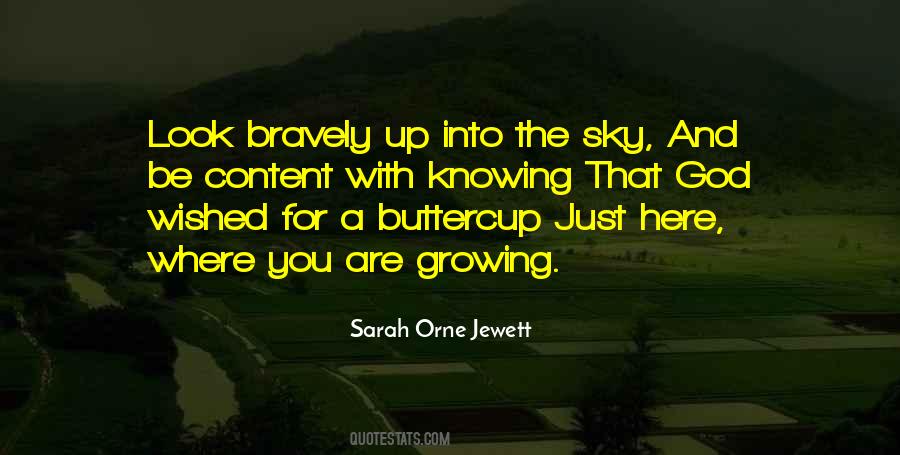 Quotes About Sarah Orne Jewett #171665