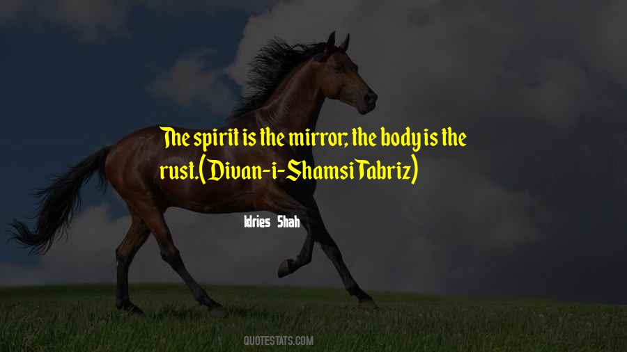 Shamsi Tabriz Quotes #101411