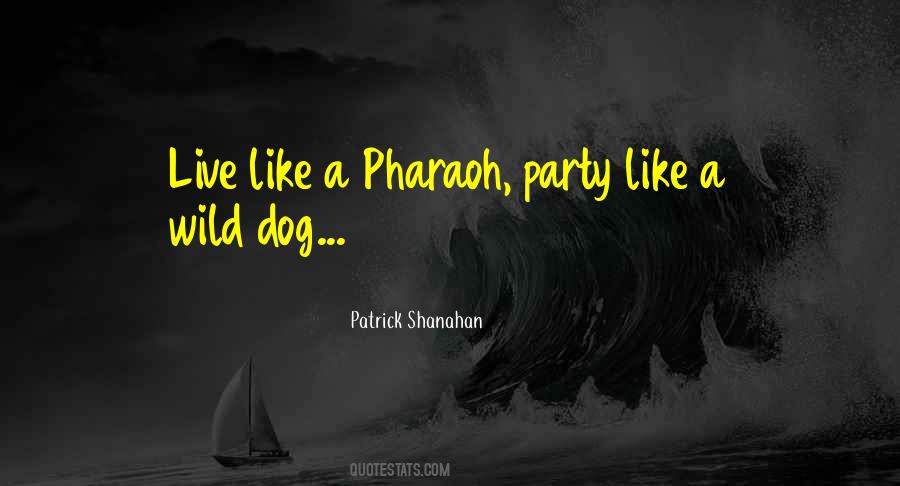 Shanahan Quotes #190457