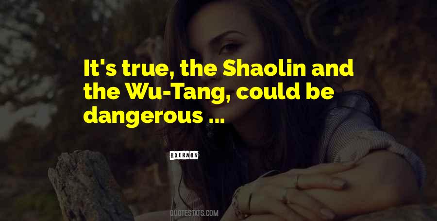 Shaolin Vs Wu Tang Quotes #510175