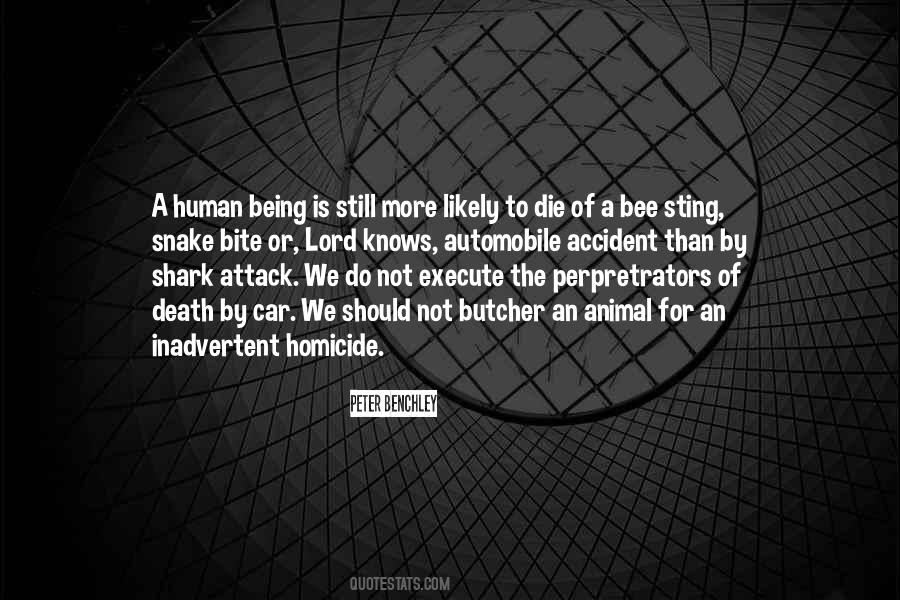 Shark Bite Quotes #1303568