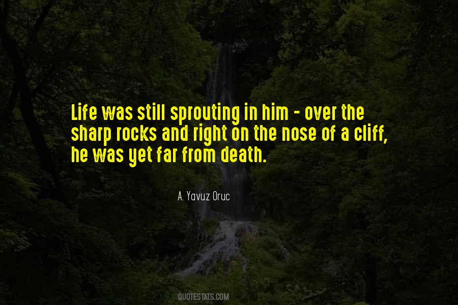 Sharp Nose Quotes #207776