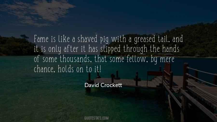 Shaved Quotes #643970
