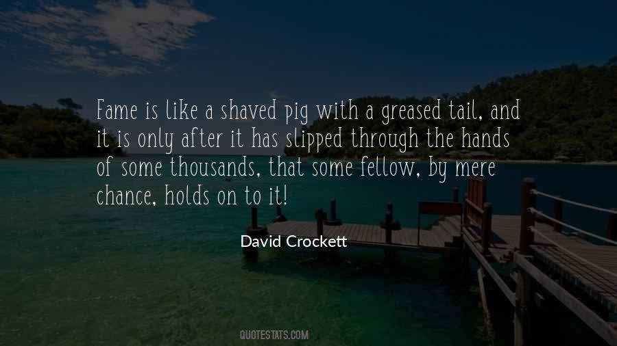 Shaved Quotes #643970