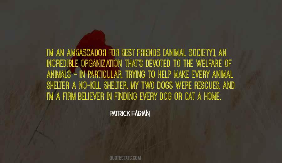 Quotes About Animal Friends #378810