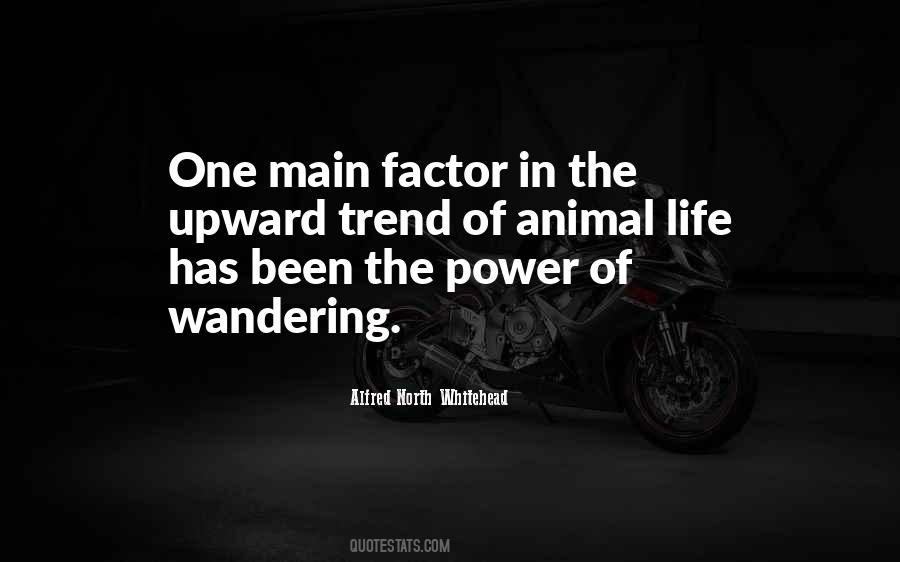 Quotes About Animal Life #1745851