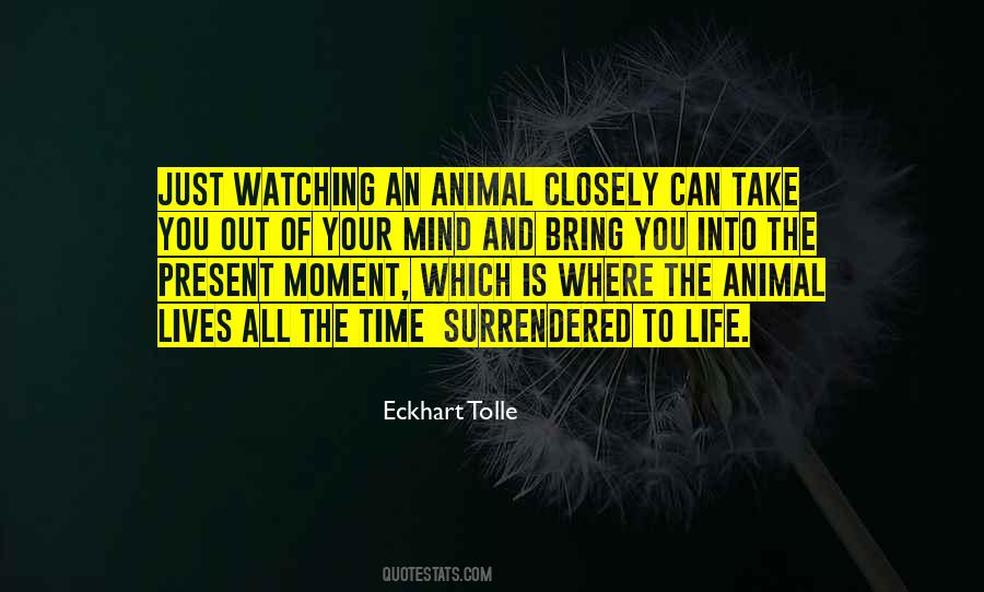 Quotes About Animal Life #211398