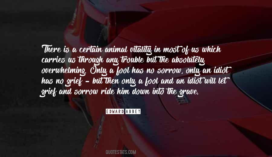 Quotes About Animal Life #30779