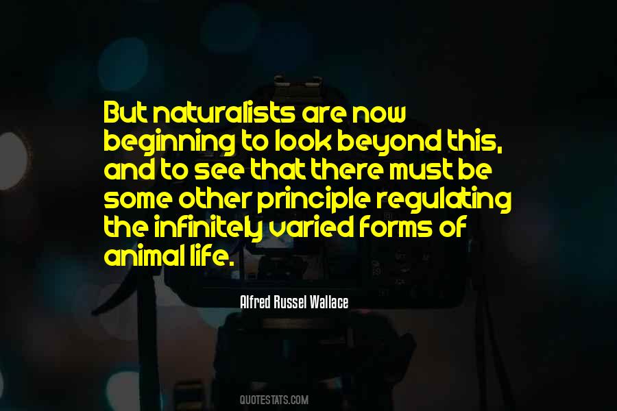 Quotes About Animal Life #438520