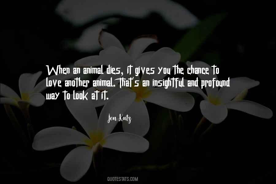 Quotes About Animal Love #169909