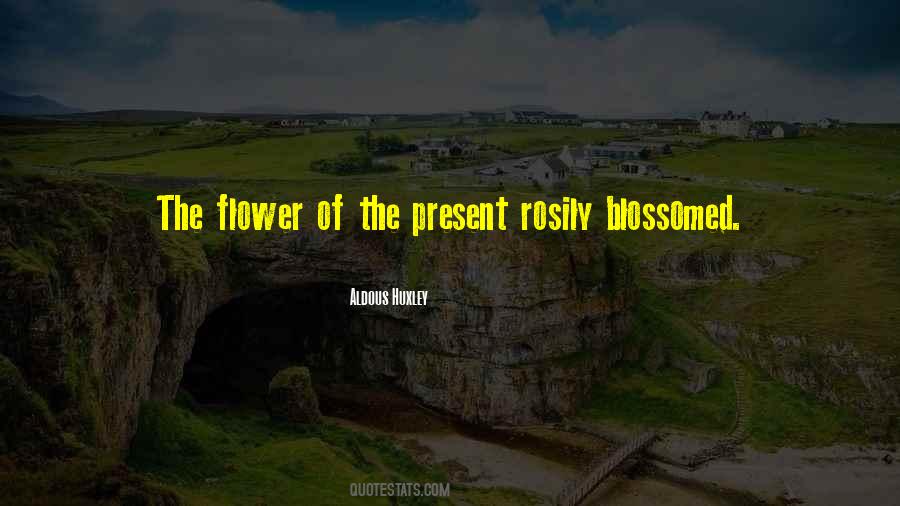 She Blossomed Quotes #1868620