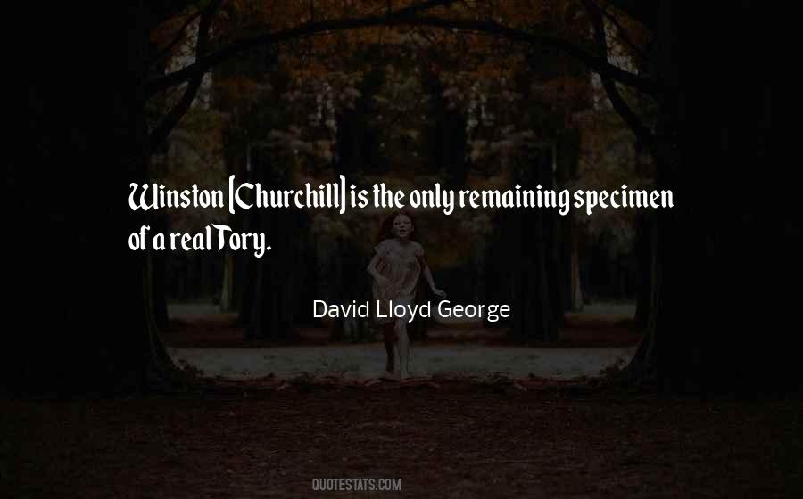 Quotes About David Lloyd George #626078