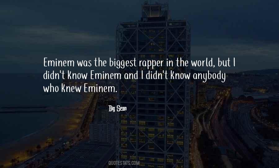 Quotes About Eminem #892711