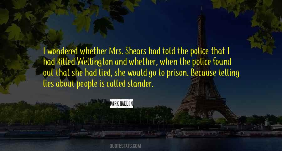 She Lied Quotes #349809