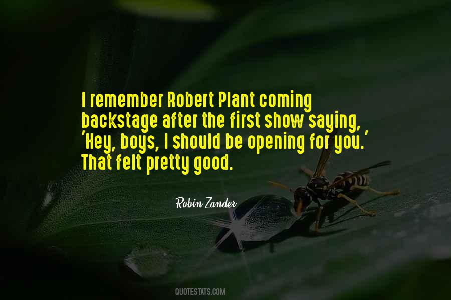 Quotes About Robert Plant #536699
