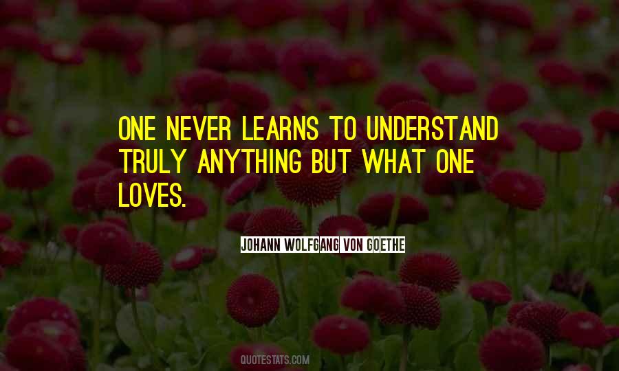 She Never Understand My Love Quotes #377115