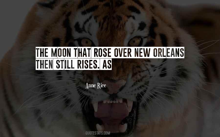 She Rises Quotes #57416