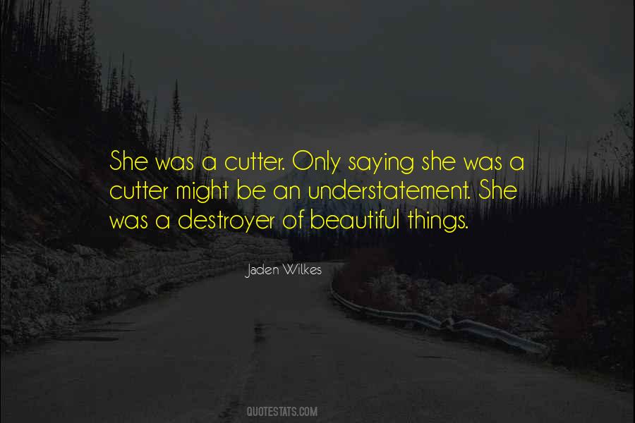 She Was Beautiful Quotes #70349
