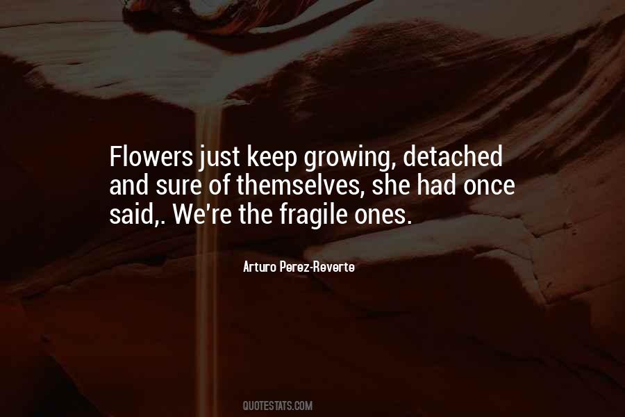 She's Fragile Quotes #177341