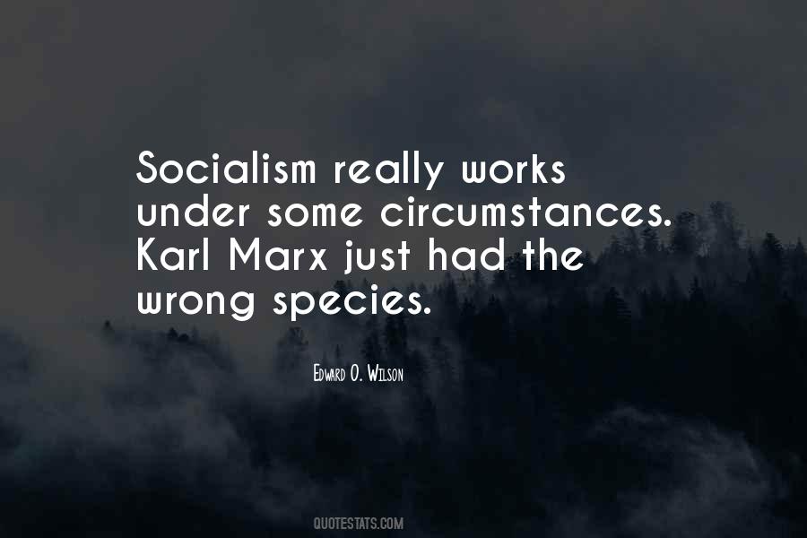 Quotes About Karl Marx #435010