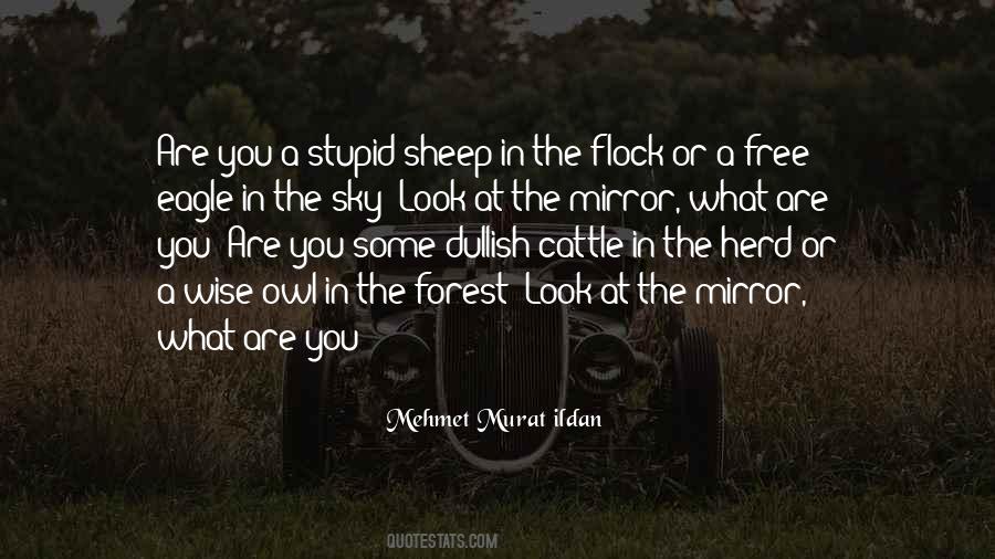 Sheep Herd Quotes #81091