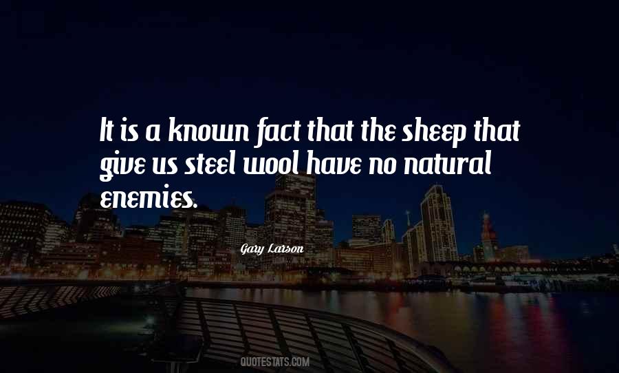 Sheep Wool Quotes #812575