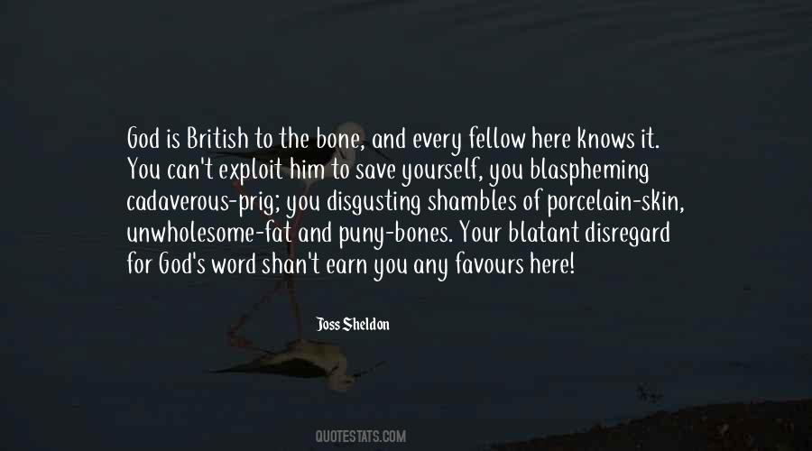 Sheldon's Quotes #1063649