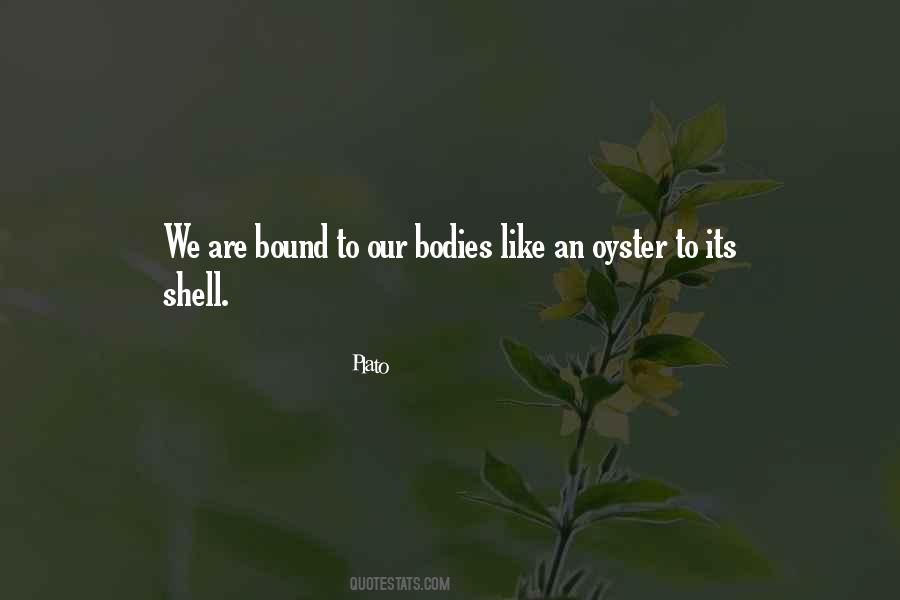 Shell Quotes #1287