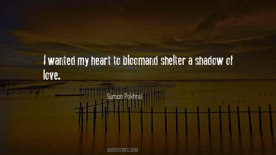 Shelter Love Quotes #1524589