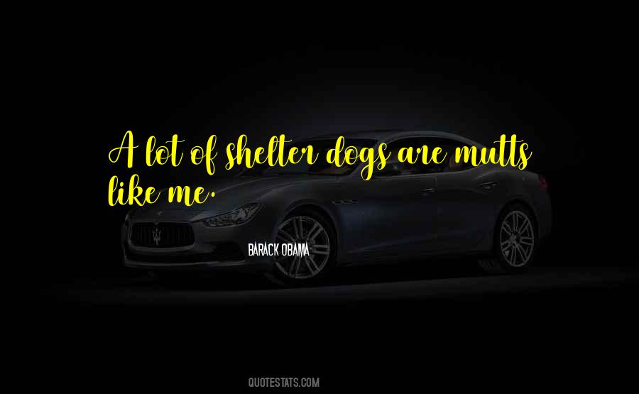 Shelter Me Quotes #133069