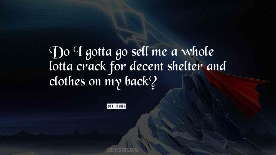 Shelter Me Quotes #1591826