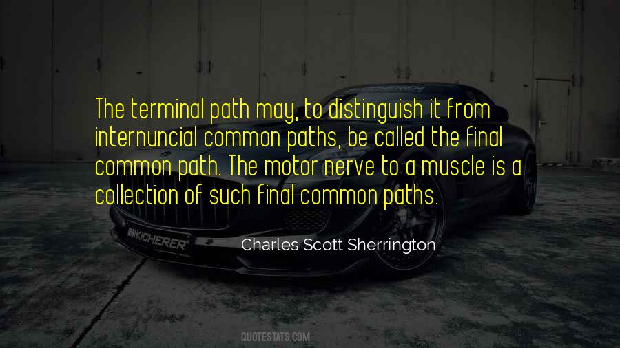Sherrington Quotes #1185962