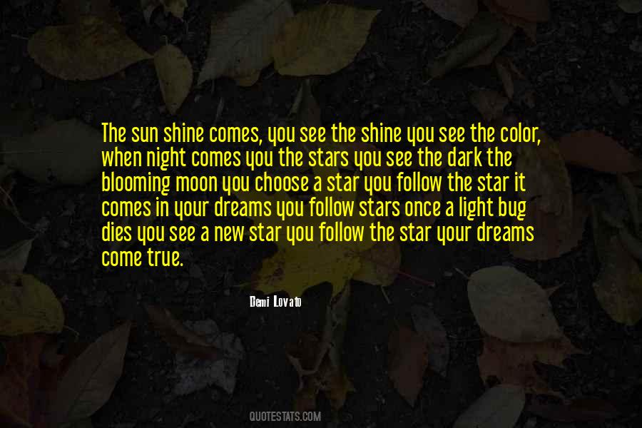 Shine Your Light Quotes #240185
