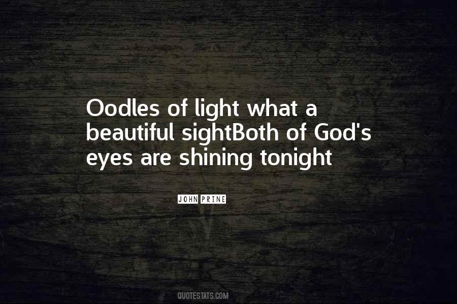 Shining Light Quotes #1596