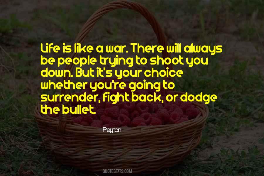 Shoot You Down Quotes #65673