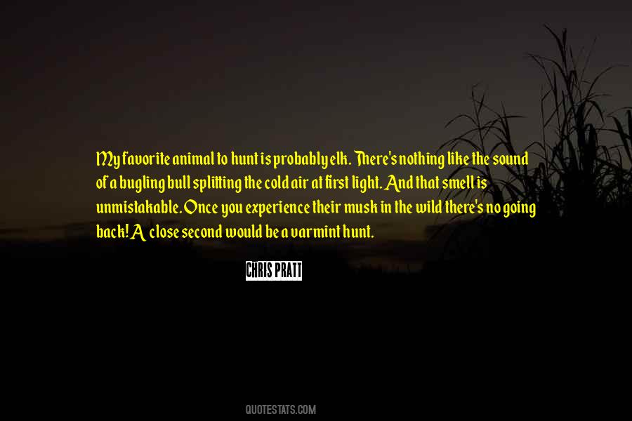 Quotes About Chris Pratt #513071