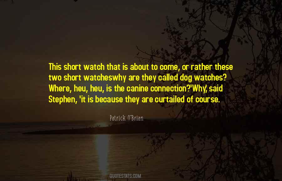 Short Dog Quotes #1397809