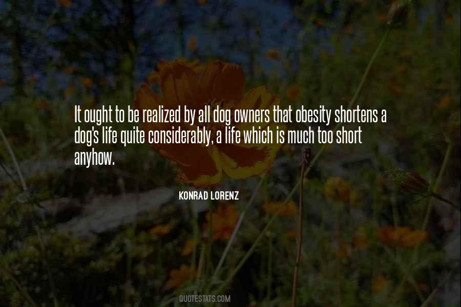 Short Dog Quotes #917588