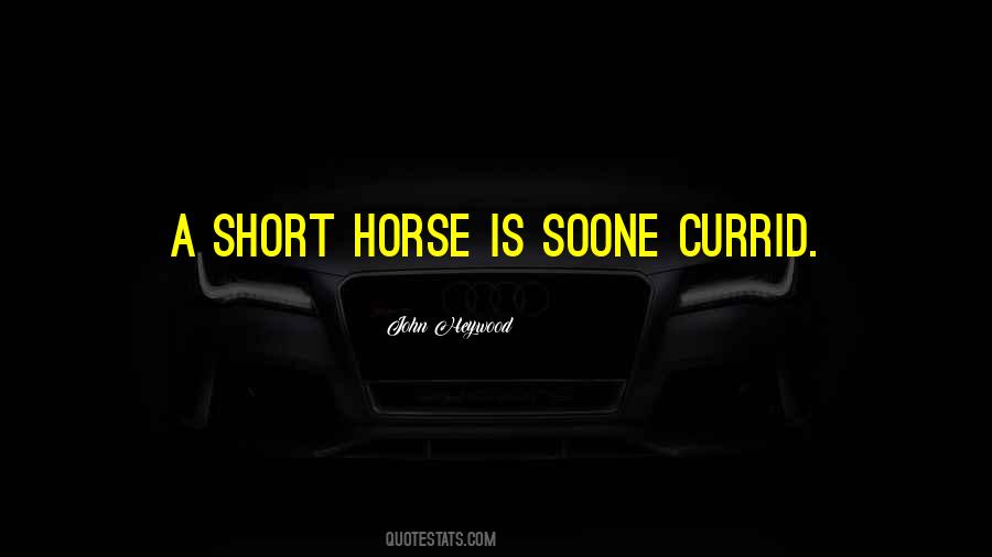 Short Horse Quotes #333313