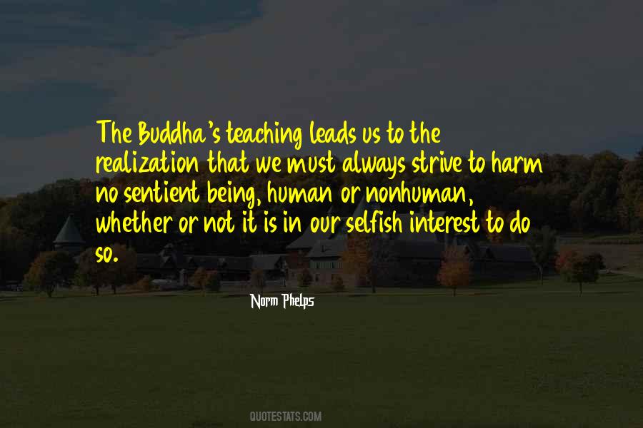 Quotes About Buddha #1240012