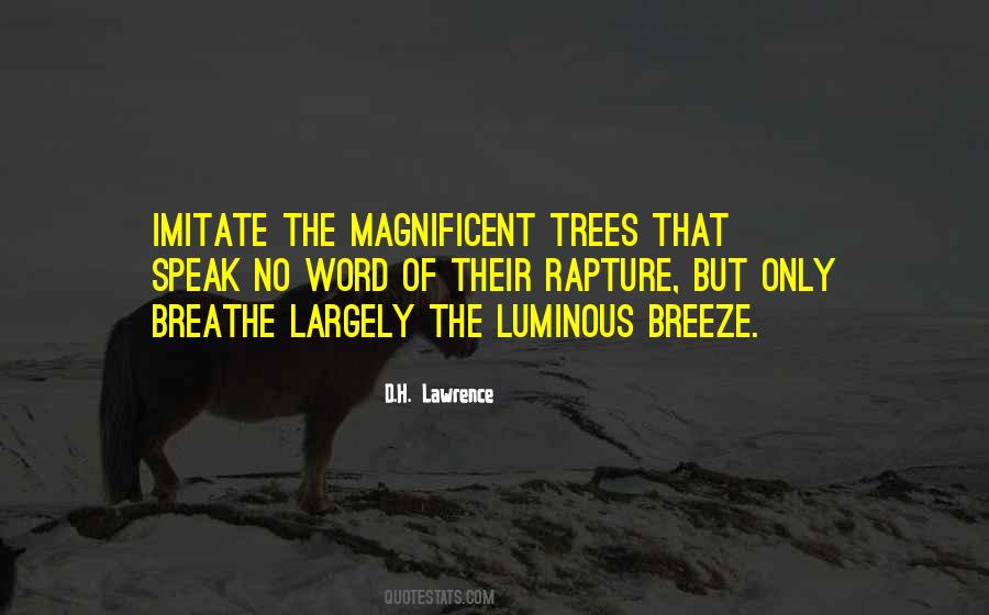 Quotes About Alcocol #1491472 Quotes About Alcocol #1491472