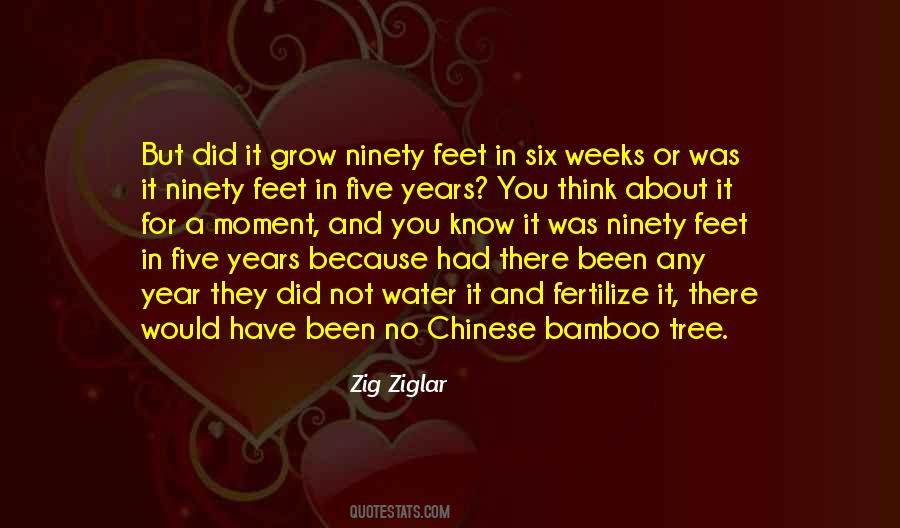 Quotes About Zig Ziglar #141716