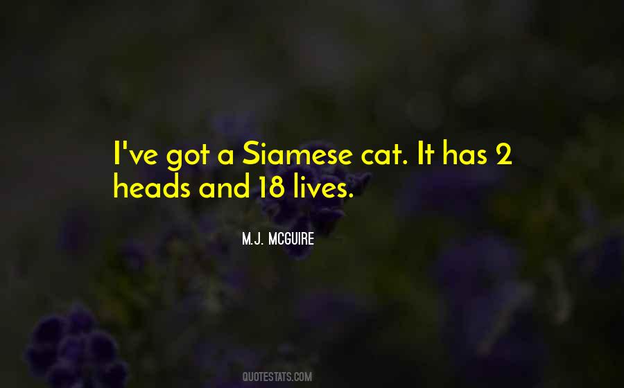 Siamese Quotes #466590